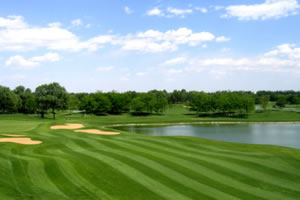 U3274P62T3D310855F72DT20090506164748