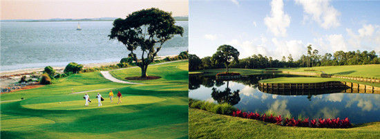 海岛与锯齿草球场 海岛与锯齿草球场