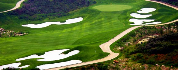 感受绿色自然情怀